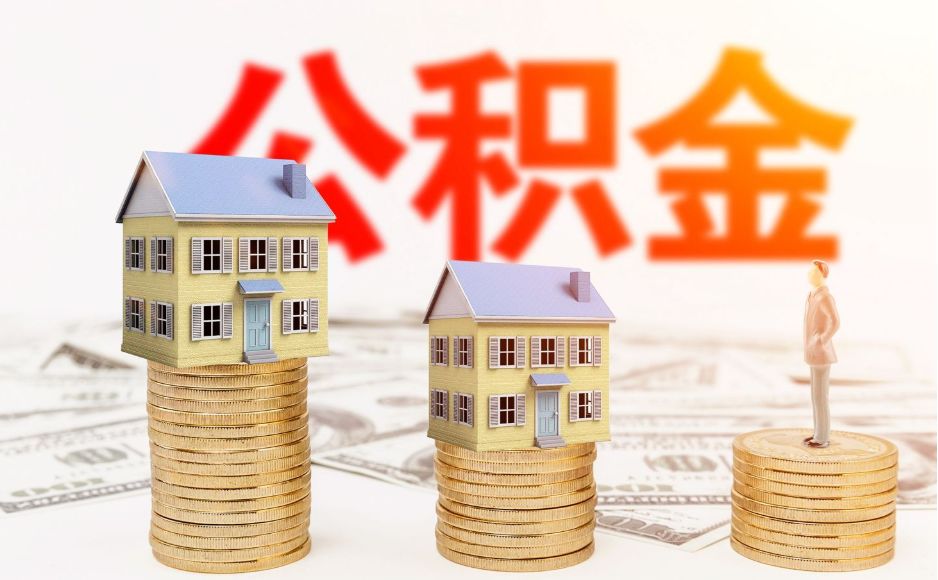 正规机构