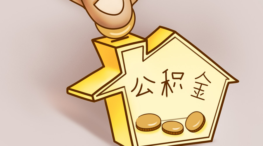 正规机构